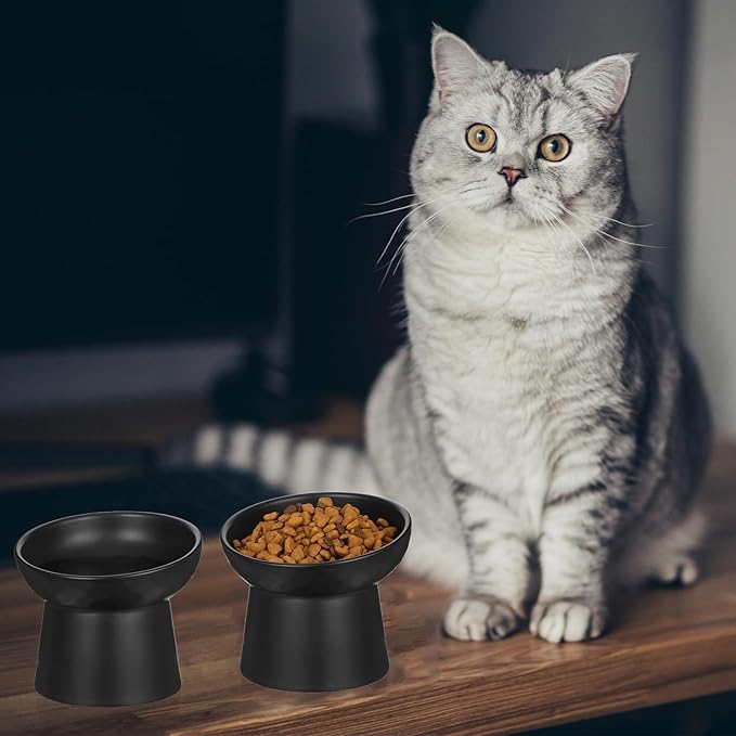 2PCS Anti-Tip Ceramic Pet Slanted Bowls – Elevated Tilted Cat Food & Water Bowls Set, Non-Slip Stress-Free Feeder for Cats & Small Dogs, Dishwasher and Microwave Safe (Black)