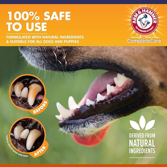 Arm & Hammer Complete Care Enzymatic Dog Toothpaste with Baking Soda and Calcium, Fluoride-Free Chicken Flavor for Plaque, Tartar, and Fresh Breath, 6.2 Oz Value Size - 6 Pack