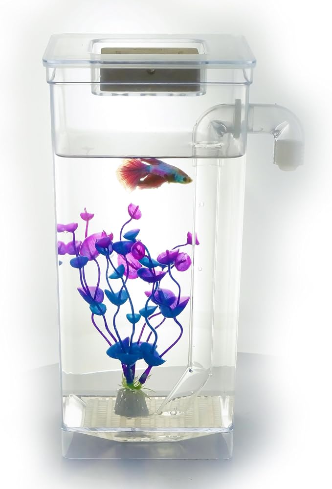 My 1st Fish Tank™ : Gen 2, Mini Fish Tank Aquarium Starter Kit 1 gal, Professional for Betta, Easny Maintain, Self Cleaning System-Only Add Water, Beautiful Color Changing LED Light, Color Box