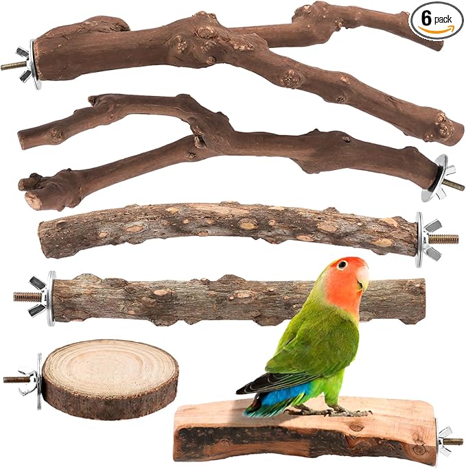 6-Piece Natural Wood Bird Perch Set - Forked Grapevine Branches, Prickly Ash Sticks & Apple Wood Platforms - Habitat Standing Accessories for Parakeets, Cockatiels, Conures, Budgies
