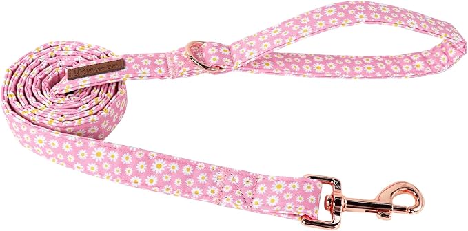 Summer Dog Collar & Leash Set, Sturdy Durable Hawaii Cotton, Blue, Fits Small to Large Dogs