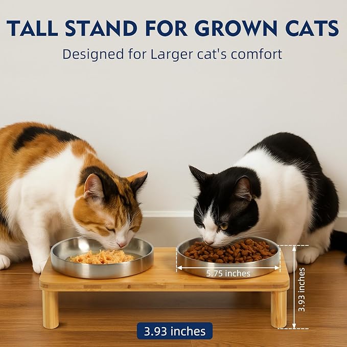 DoogCat Elevated Cat Bowls for Indoor Cats – Raised Bamboo Cat Food Table with 2 Stainless Steel Dishes, Adjustable Height (4.25"/3.07"), Whisker Friendly Feeding Station