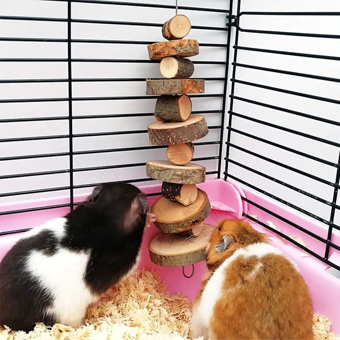 FJNATINH Small Animal Chews Toy Apple Wood Block Cage Hanging Molars Treats Snack for Hamsters Rabbits Bunny Bird Parrots Chinchilla Guinea Pig Gerbils Squirrels, 2 Pack