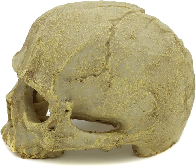 JIHAQUA Aquarium Resin Skull Ornament Snake Hide Decor, Habitat | Reptile Tank Accessories, Basking