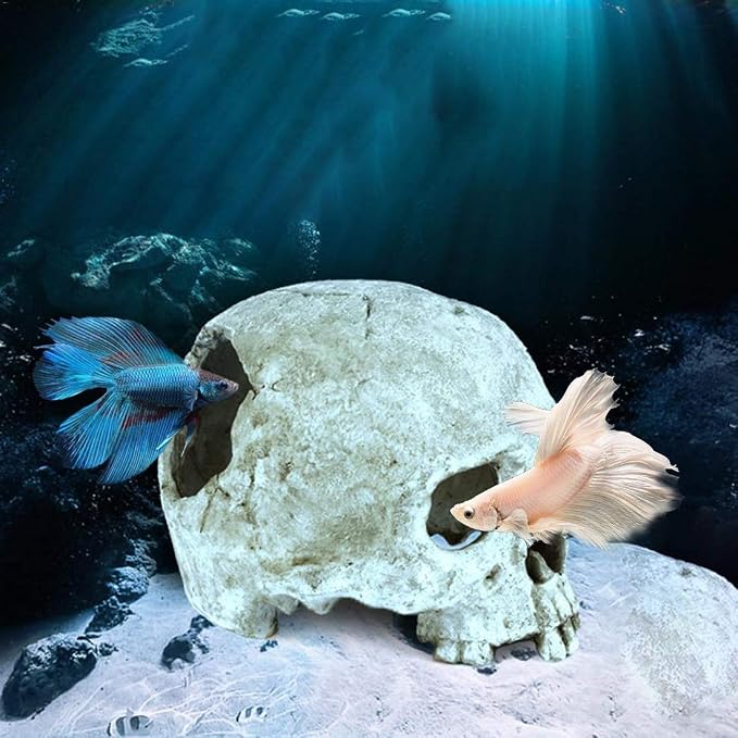 Tfwadmx Aquarium Skull Decor, Resin Fish Tank Decorations Aquarium Shrimp Cave Betta Fish Hiedout Reptile House for Small Fish,Shrimp