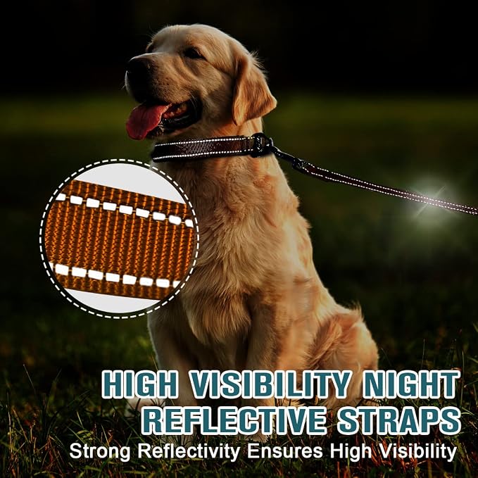 Dog Collar for Medium Small Large Dogs Reflective with Leash,Collar and Leash for Dogs,Soft Neoprene Padded 2 Pack(Orange,M)