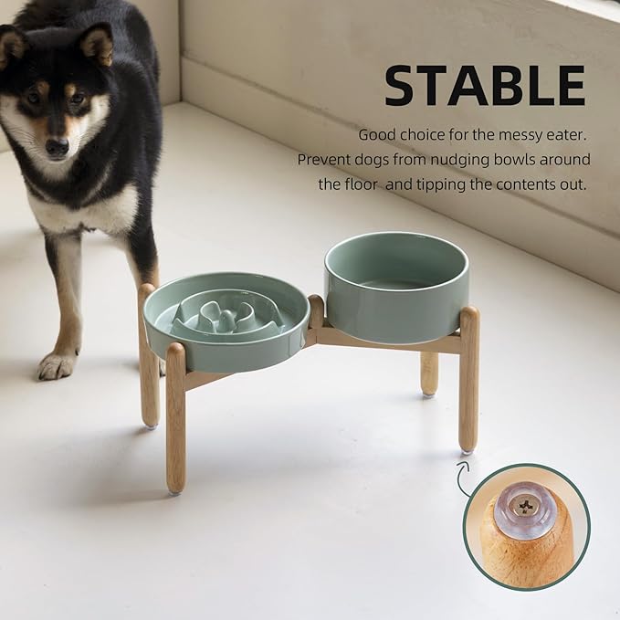 Havniva Ceramic Raised Slow Feeder Dog Bowl Set, Elevated 7.3inch Bowl and 8.2inch Puzzle Slow Dish with Wooden Stand for Medium and Large Dog, Anti-Gulping (2X Light Green+ Stand)