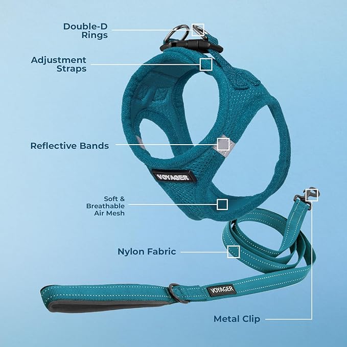 Best Pet Supplies Voyager Step-in Air All Weather Mesh Harness and Reflective Dog 5ft Leash Combo with Neoprene Handle, for Small, Medium and Large Breed Puppies - Turquoise, X-Large