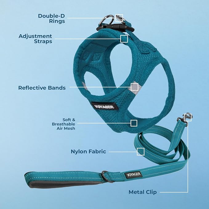 Best Pet Supplies Voyager Step-in Air All Weather Mesh Harness and Reflective Dog 5ft Leash Combo with Neoprene Handle, for Small, Medium and Large Breed Puppies - Turquoise, Medium