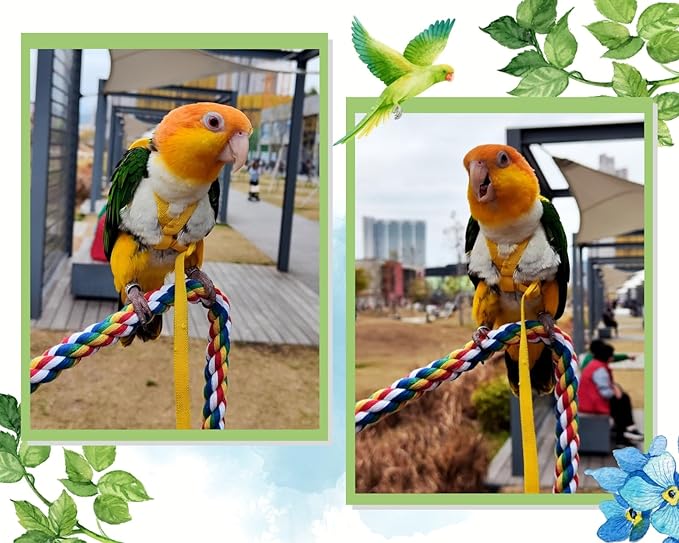 DS. DISTINCTIVE STYLE Bird Rope Perches Set of 2 Pieces (33 in+16 in), Colorful Cotton Rope for Birds, Bungee Style Perch Ideal for Parrots, Cockatiels, Lovebirds, and Budgies