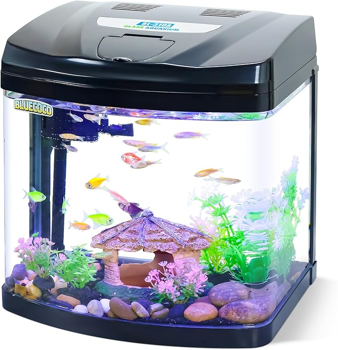 3 Gallon Glass Aquarium Betta Kit with Flip-Top Port | 3 Gal glass tank with flip-top port. Built-in air pump & LED light. 360° clear view, complete starter kit for betta tank