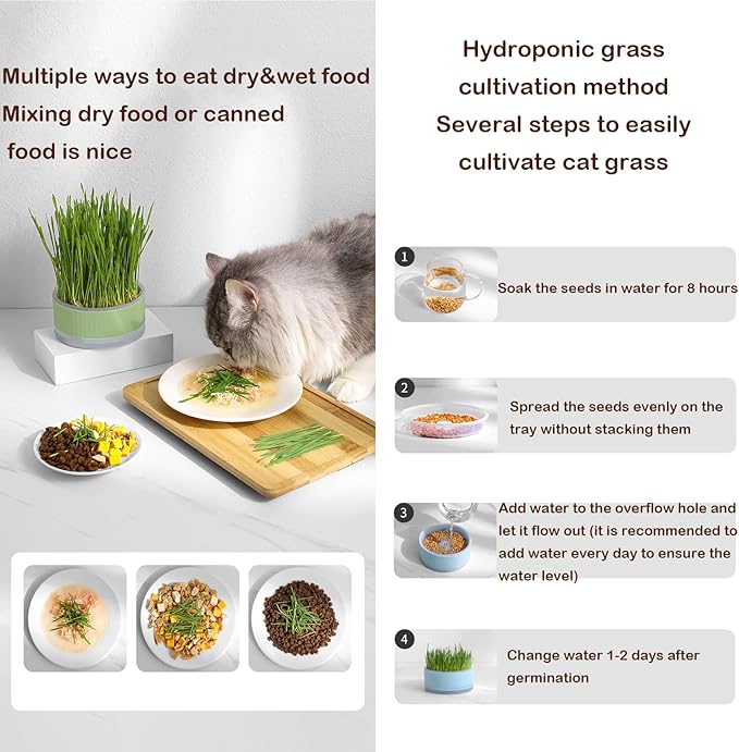 Hydroponic Cat Grass Planter Kit for Indoor Cats - Easy to Grow (No Seeds Included) (Green)