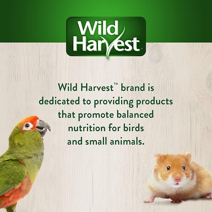 Wild Harvest® Foraging Instincts Roll n’ Play Interactive Treat, 3 Count, for Pet Mice, Rats, Hamsters and Gerbils, 2.30 Ounce (Pack of 1)