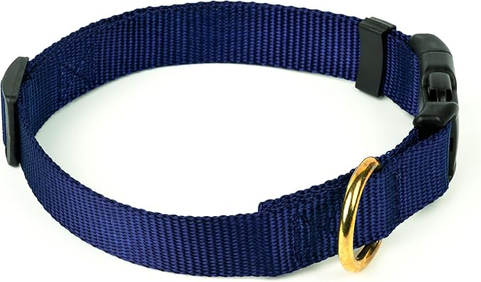 Country Brook Petz - Everyday Nylon Dog Collar and Leash - 10+ Cool Colors (1 Inch, Large, Navy Blue)