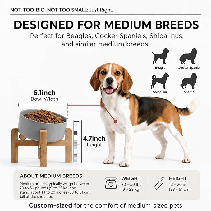 hjn Elevated Ceramic Dog Bowl 15°Slanted Raised Dog Bowl with Bamboo Stand for Small Medium Dogs and Cats, Pet Feeder-3.6-Cup (850ml)-Gray