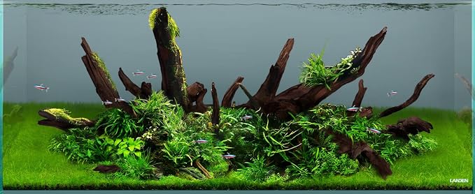 Panna Driftwood Natural Aquarium Wood 4pcs 12-16in Reptile Decor | Branchy shapes; planted and reptile terrarium