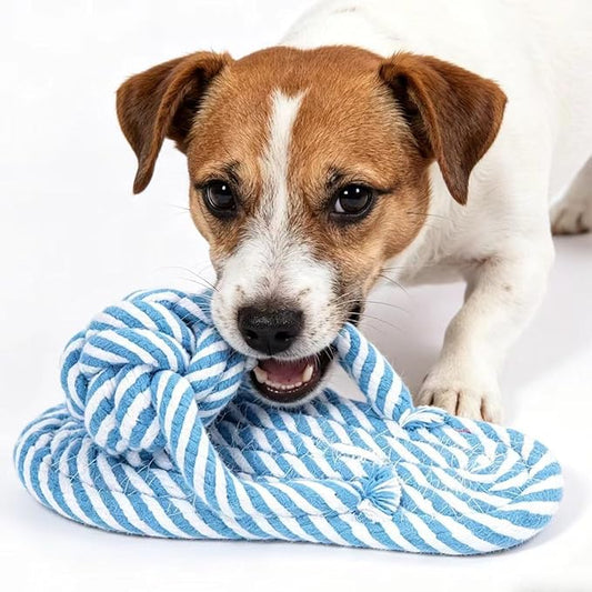 Dog Toys Puppy Teething Chew Toys,Dog Chew Toys Rope Toys,Cat Chew Toys,Safe Braided Rabbit Toys Healthy Gift (Slippers)