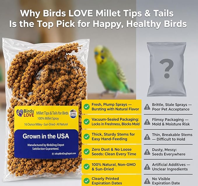 Birds LOVE Millet Tips & Tails for Birds - Parakeets, Cockatiels, Lovebirds, Finches, Budgies, Canaries, Cockatoos - Natural & Healthy Millet for Birds - Parakeet Food & Treats for All Parrots, 1lb