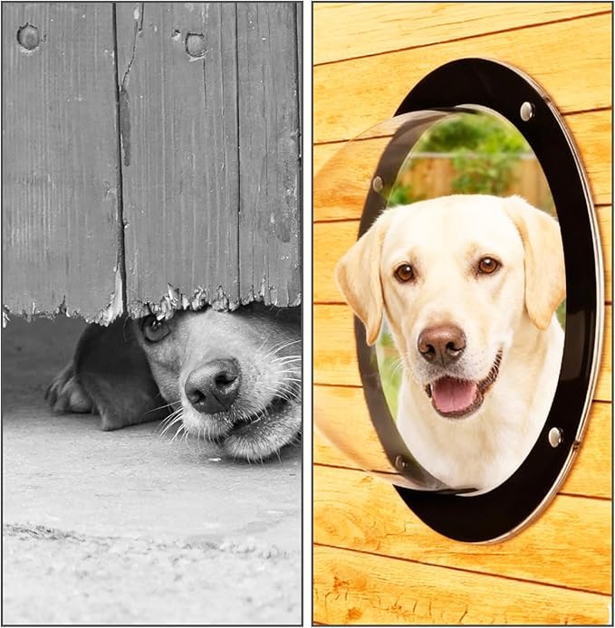 STARVAST 2PCS Dog Fence Window, 12.3 Inch Dog Window for Fence, Durable Plastic Small Round Window for Doggie Cat Horse Outside Playground Garden, Deep 4.72 Inch