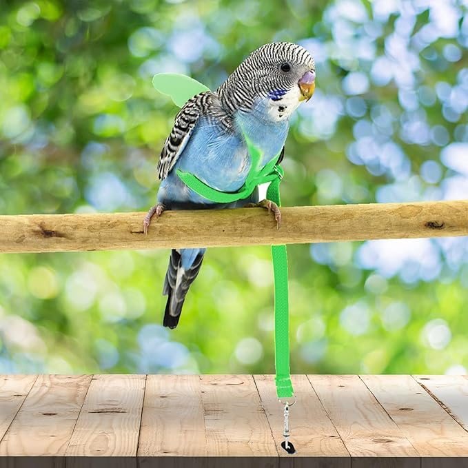 Birds Harness Leash Outdoor Flying Escape-Proof Adjustable Training Design Anti-Bite Bird Rope with Cute Wing for Parrots Scarlet Keck Mini Macaw Love Birds (Green)