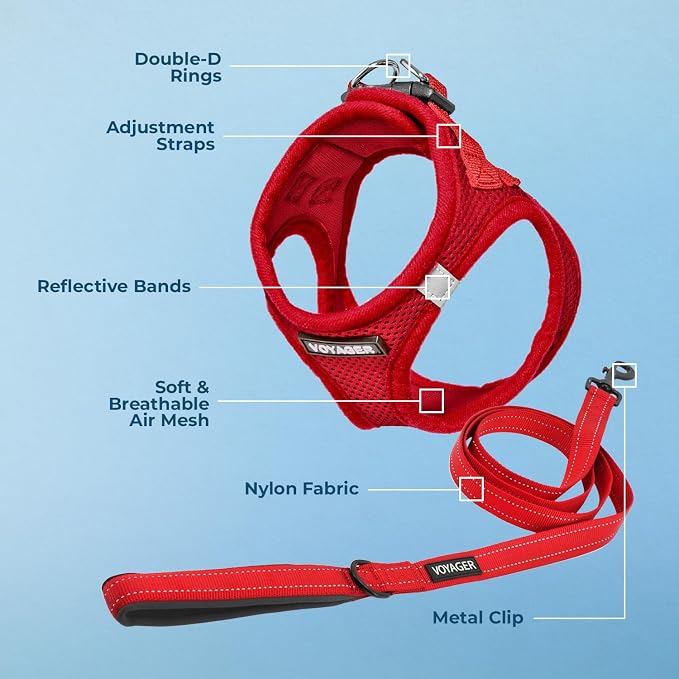 Best Pet Supplies Voyager Step-in Air All Weather Mesh Harness and Reflective Dog 5ft Leash Combo with Neoprene Handle, for Small, Medium and Large Breed Puppies - Set (Red), X-Large