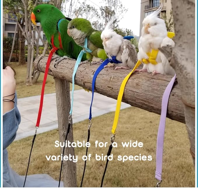 Adjustable Bird Harness with Elastic Leash, Pet Parrot Harness and Leash, Adjustable Training Design Anti-Bite, Bird Nylon Rope with Cute Wing for Conure (Deep Blue,Macaw)