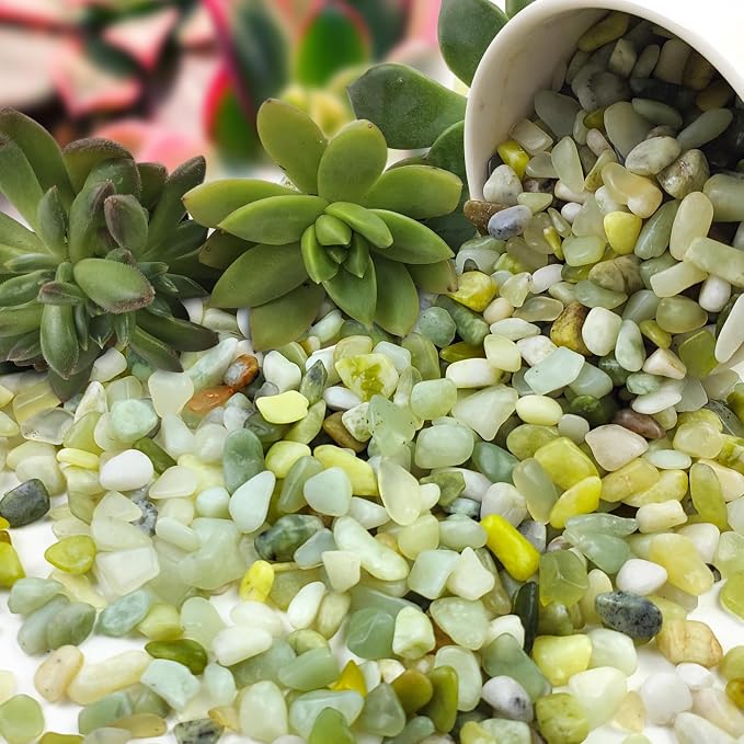 FANTIAN 5 lbs Jade Pebbles for Indoor Plants,1/4 inch Polished Gravel Rocks for Plants, Succulents, Cactus, Vases, Terrarium and Outdoor Gardening