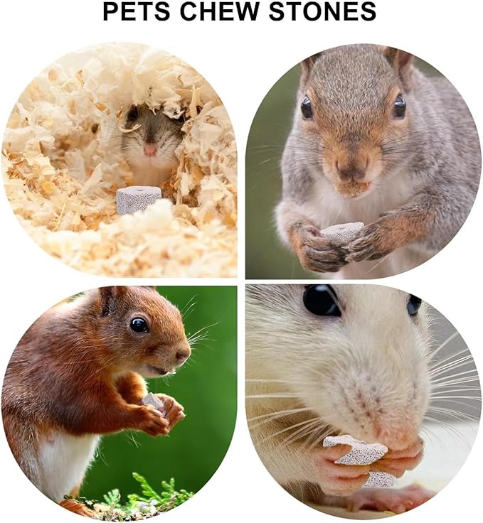 8 Pack Lava Block Chew Toy Small Pet Animal Lava Bites Chews Toy Teeth Grinding Stone Mineral Calcium Block for Chinchilla Hamster Parrot Chinchillas Rabbit Guinea Pig Gerbil Mouse Squirrels