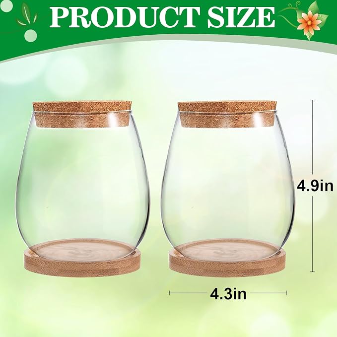 Plants Propagation Station, Gardening Gifts for Women Mom Plant Lovers | Biggun 2Pcs Desktop Plant Terrarium Glass Hydroponic Vases, Water Plant Jars (Water Drop Shape, Separated Tray Style)