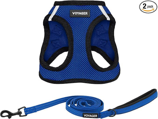 Best Pet Supplies Voyager Step-in Air All Weather Mesh Harness and Reflective Dog 5ft Leash Combo with Neoprene Handle, for Small, Medium and Large Breed Puppies - Royal Blue/Black Trim, X-Small