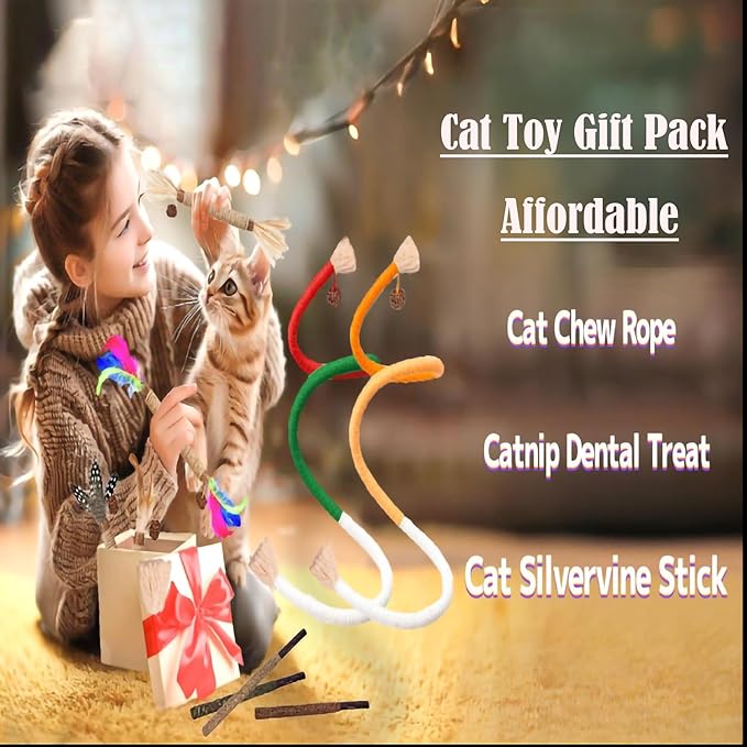 Cat Toys for Indoor Cats 12pcs Kitten Chew Self Play Kitty Dental Rope Interactive Catnip Toy Refillable Matatabi Treats for Cleaning Teeth Lickable Silvervine Feather Sticks