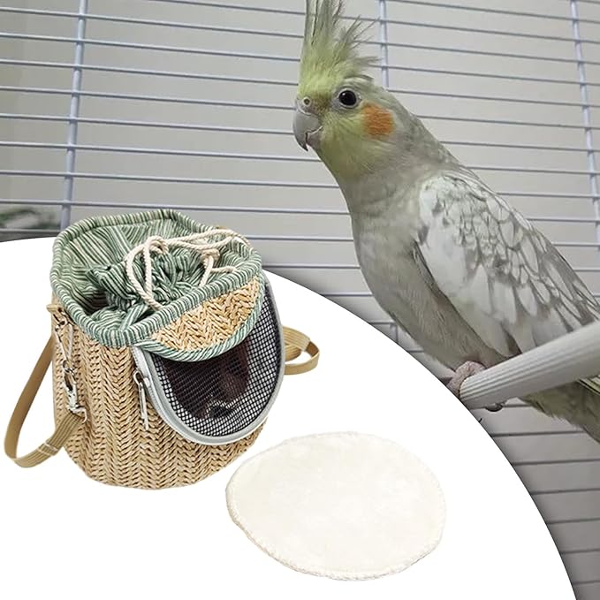 Baoblaze Bird Carrier Bag Shoulder Bag Cage Portable Cage Travel Bag Outdoor Parrot Bag Crossbody for Parakeets Small Birds Lovebirds, Light Green