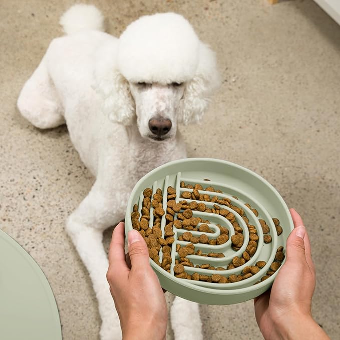 Should We Go? Slow Feeder for Dogs & Puppies, The Slowdown Bowl Silicone Slow Eating, Modern Lick Mat Design, Reduces Gulping, Fits 2.5 Cups, 9.5” Across x 1.5” Tall, Mealtime Challenge, Large-Sage