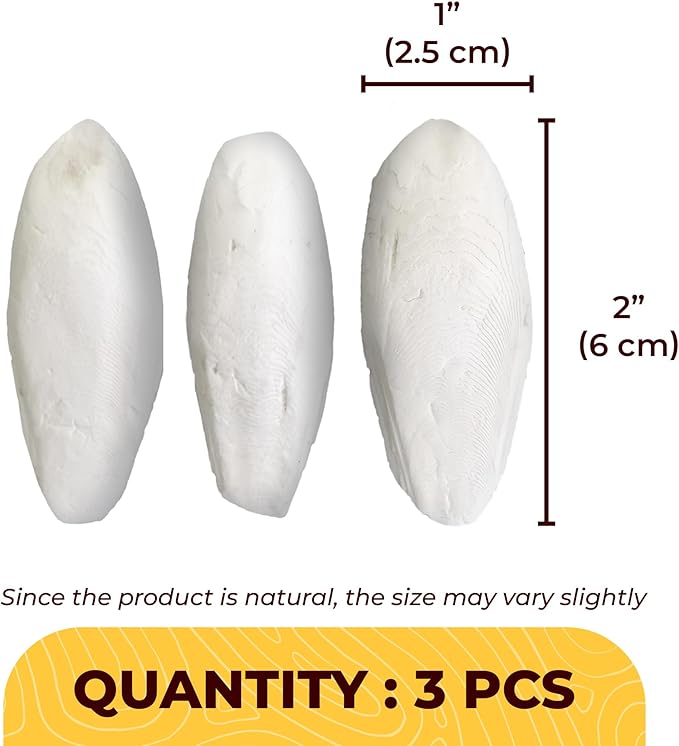 SunGrow 3 Pack Cockatiel Cuttlefish Bone, Calcium Addition to Bird Beak Care, Cage Mount Holder NOT Included, Support Shell Strength, Turtle, Shrimp, Dog, Snail, Aviary Clip, Accessory Reptile