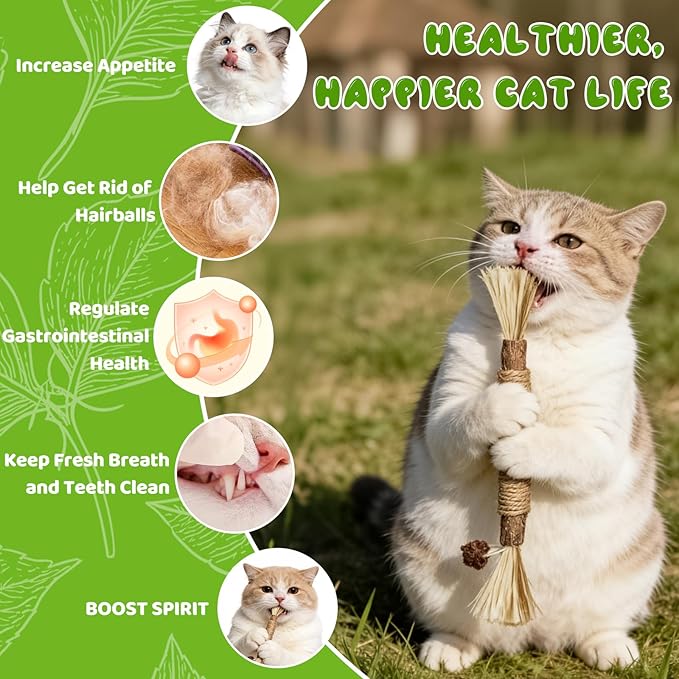 Silvervine Sticks for Cats & Cat Chew Ropes Cat Chew Toys for Indoor Cats Kitten Teething Toys for Dental Cleaning Teeth with Natural Catnip Bag, Increase Appetite, Enhances Oral & Dental Health,14PCS