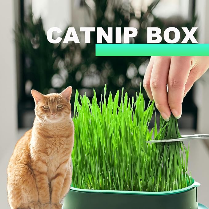 3Pcs Cat Grass Planter, Plastic Wheatgrass Planting Trays Hydroponic Cat Grass Growing Kits for Indoor Cats Soilless Nursery Box Pet Grass Pot (3 Color)