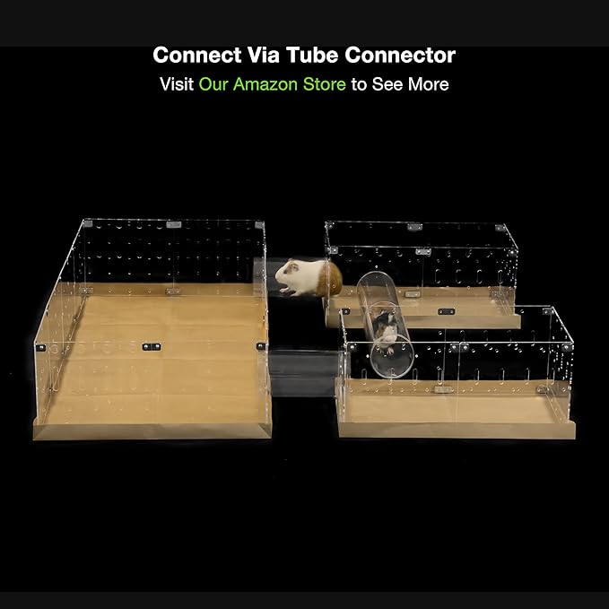 GuineaLoft™ Acrylic Cage (Model-C2) - Small 2x1 ft Open Cage for a Single Guinea Pig, Disposable Bottom, Connectable, DIY Extendable - Visit the Guinea Loft Store to See It All