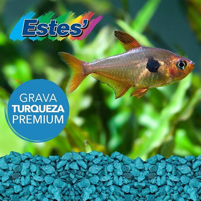 Special Turquoise Aquarium Gravel for Freshwater Aquariums, 5-Pound Bag