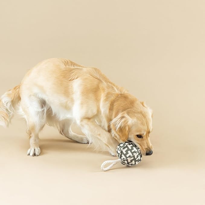 Fringe Studio Pulling You in Odette Olive 3D Canvas Dog Toy with Tuggable Rope, PetShop Collection (523040)