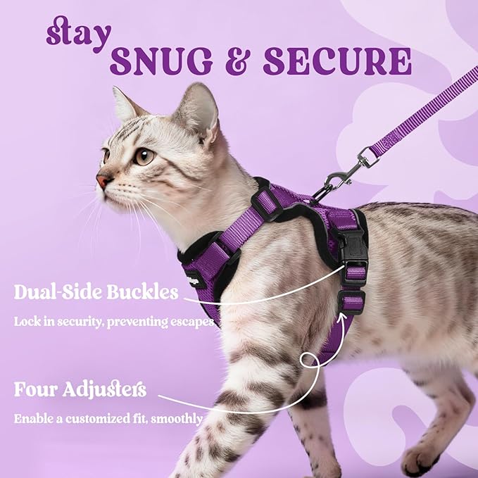 rabbitgoo Cat Harness and Leash for Walking, Escape Proof Soft Adjustable Vest Harnesses for Cats, Easy Control Breathable Reflective Strips Jacket, Purple, XXS