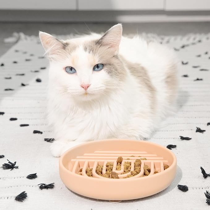 Should We Go? - The Slowdown Bowl Silicone Slow Feeder for Cats & Kittens, Slow Eating Mealtime Solution with Modern Lick Mat Design, Reduces Gulping, Fits 1 Cup 6” Across x 1.25” Tall, Small-Tan