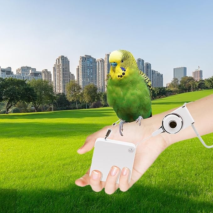 Bird Flying Harness - Parrot Rope, Comfortable Foot Loop, Strong Elastic Lead | Secure Outdoor Leashes for Conure Cockatoo Budgies Parakeet Macaw Parrotlet Daily Flying Training Walking Adventure