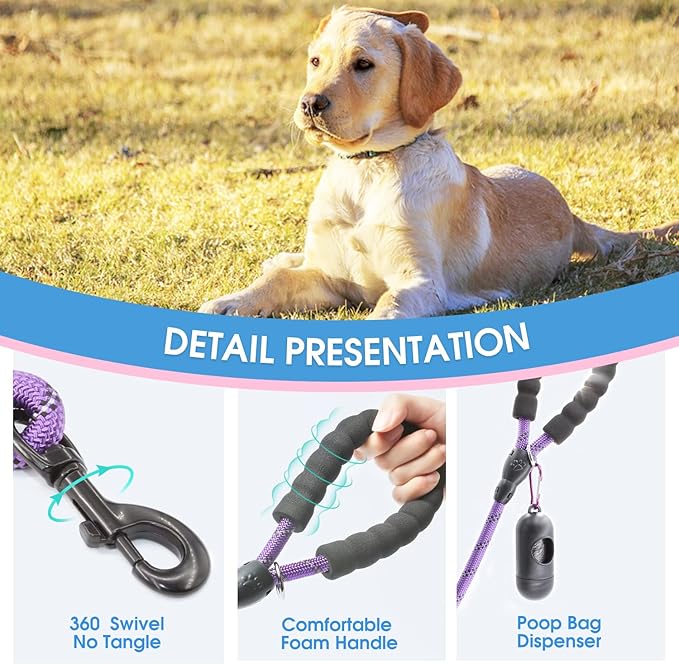 BAAPET 2/4/5/6 FT Dog Leash with Comfortable Padded Handle and Highly Reflective Threads for Small Medium and Large Dogs (4FT-1/2'', Purple)