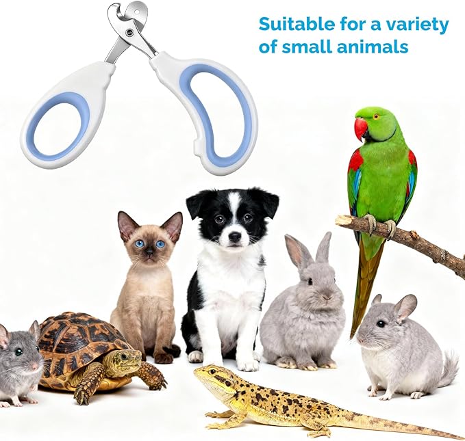 Small Animal Nail Clippers, Stainless Steel Bearded Dragon Nail Clippers, Cat Nail-Clipper, Professional Reptile Grooming Tool with Precise Angled Edge, Claw Trimmer for Birds, Cat, Dog Small Animals