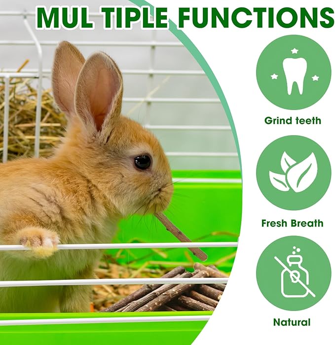 Jorewood 1 LB Natural Apple Wood Chew Sticks for Rabbits, Hamsters, Chinchillas - Extra Hard Teeth Grinding Toy | Untreated, Safe & Long-Lasting Rodent Chews