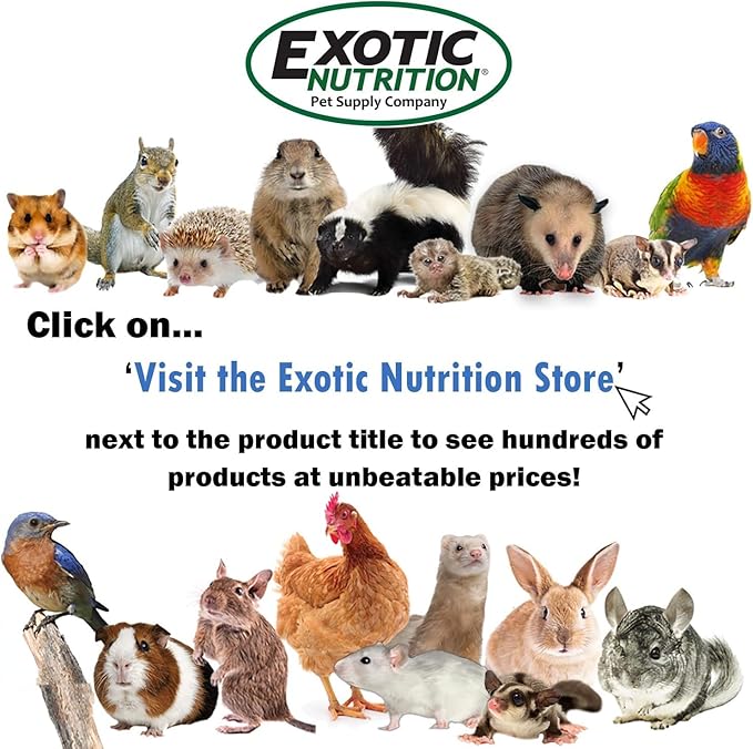 Treadmill Wheel 14" Black - All Metal Exercise Wheel for Chinchillas, Prairie Dogs, Rats, Hedgehogs, Sugar Gliders, Squirrels, Degus, Hamsters & Other Small Animals - Smooth, Fast, Silent, Durable
