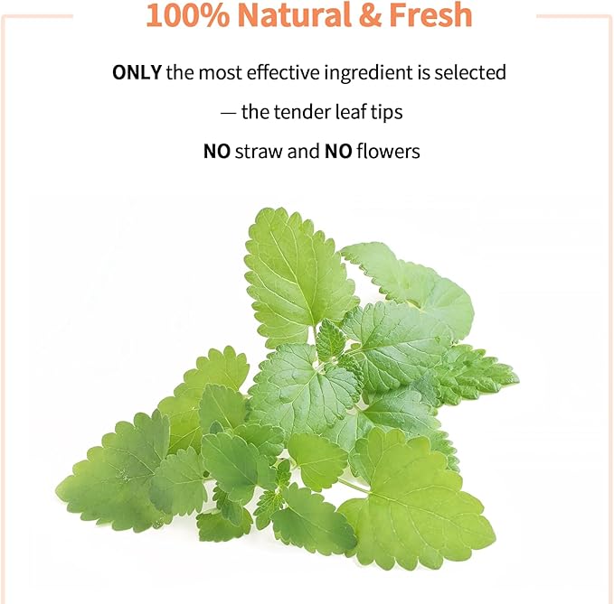 Premium Catnip for Cats & Kittens – Cold-Processed, High Potency Nepetalactone, 100% Pure Organic Leaf-Only Catnip for Toys, Scratchers, Refills, Stimulates Play & Protects Furniture - 15g
