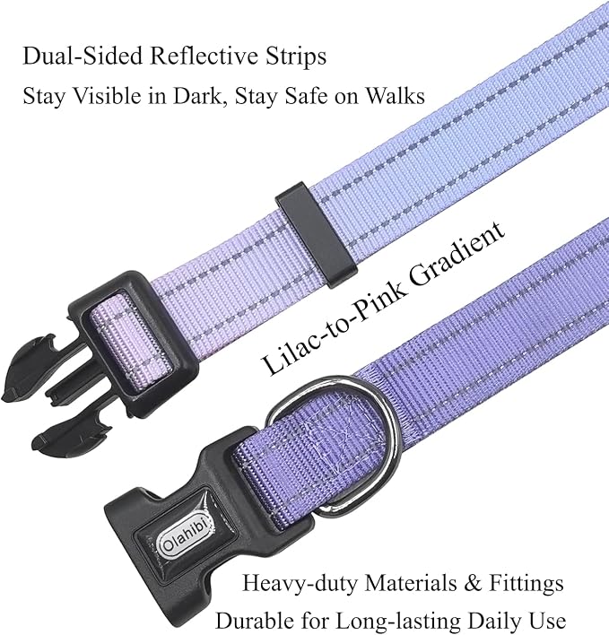 Dog Collar Leash Set, Gradient Color, with Safety Reflective Strips, 5 ft Matching Leash, Neoprene Padded Handle, Adjustable 4 Sizes for Small Medium Large Dogs.(S, Lilac Pink)