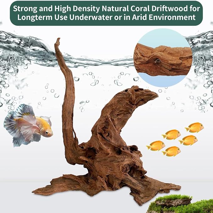 Hamiledyi 3 Pcs Natural Driftwood for Aquarium 7-12 Inch Driftwood Branches Bearded Dragon Accessories Reptiles Aquarium Decoration Assorted Size Natural Habitat Decor Wood for Lizad