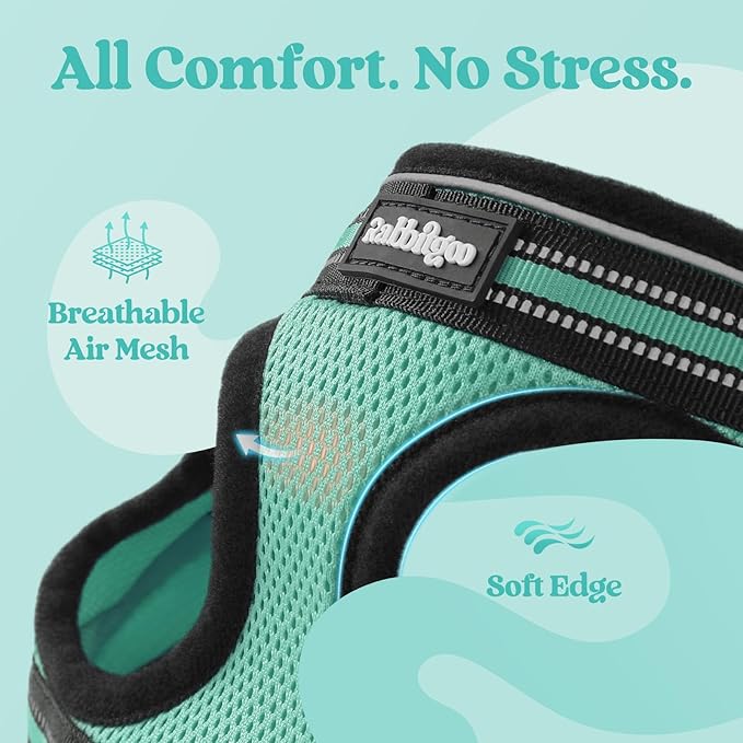 rabbitgoo Cat Harness and Leash Set for Walking Escape Proof, Adjustable Soft Kittens Vest with Reflective Strip for Cats, Comfortable Outdoor Vest, Green, XL